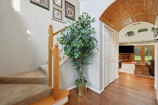 an entryway with wooden floor and a potted plant