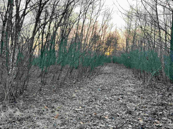 $599,000 | 18097 South State Road 39, Hanna, IN 46340