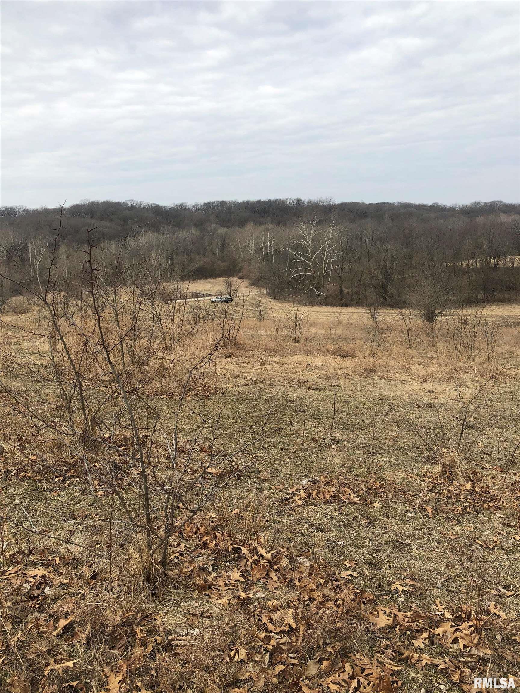 0 Rr Chandlerville, IL 62627 - Photo 1 of 2
