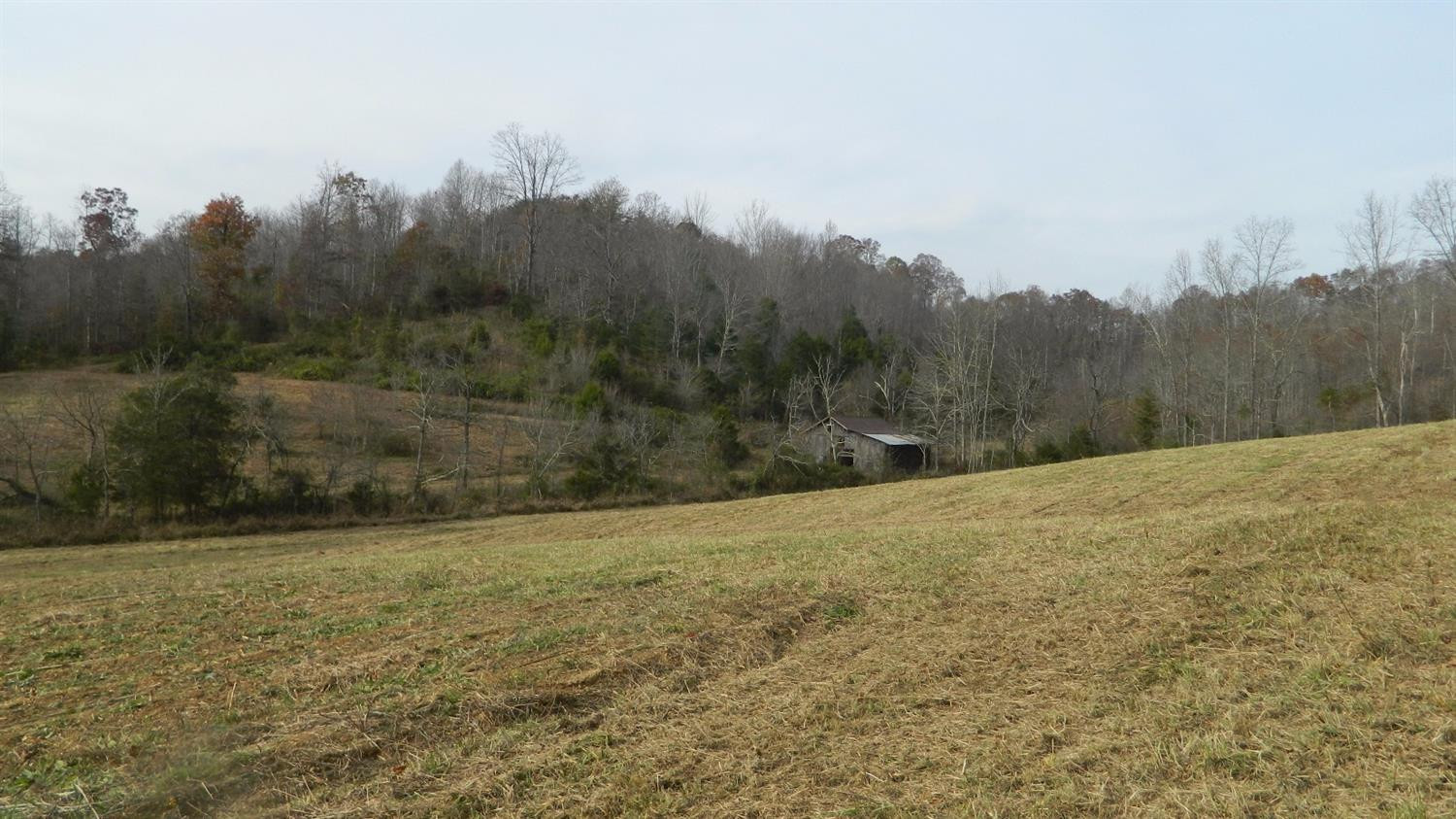 589 Judd Road Booneville, KY 41314 - Photo 1 of 67 Photo 1