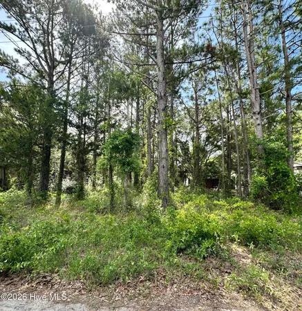 $19,000 | 2983 Canna Place Southwest, Shallotte, NC 28470