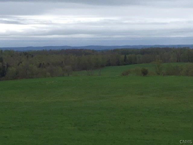 0 Larkin Road Hubbardsville, NY 13355 - Photo 25 of 35