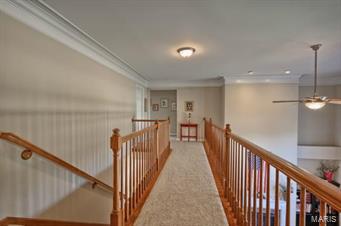 1208 Birch Meadow Court High Ridge, MO 63049 - Photo 33 of 45 Gallery Image 33
