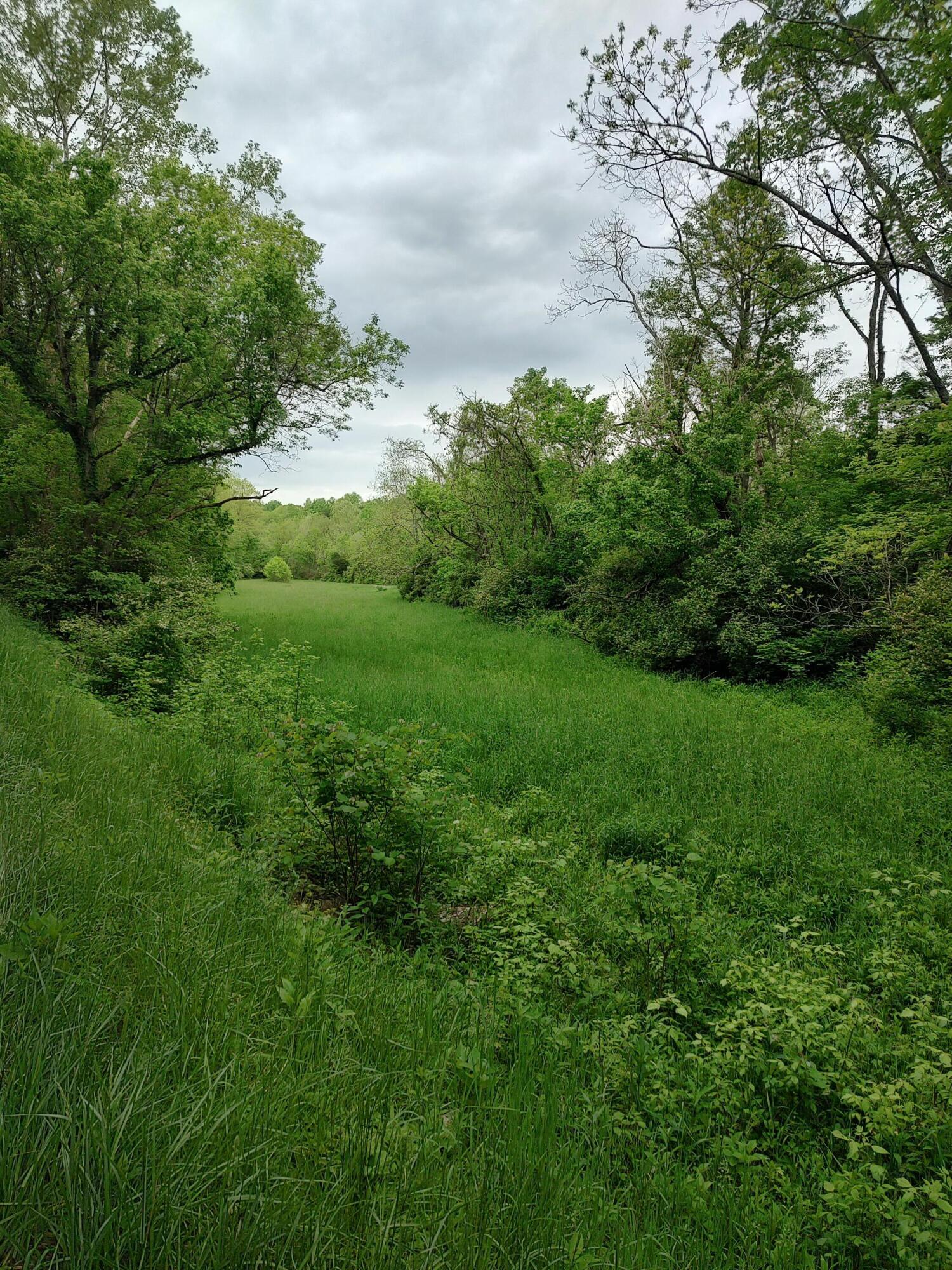 0 Garnett Road Carlisle, KY 40311 - Photo 4 of 4 IMG_20250512_084617981_HDR
