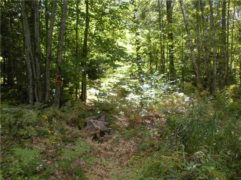 Lot 21 Hussey Road Parsonsfield, ME 04047 - Photo 6 of 15 Land. interior in from Hussey lower...