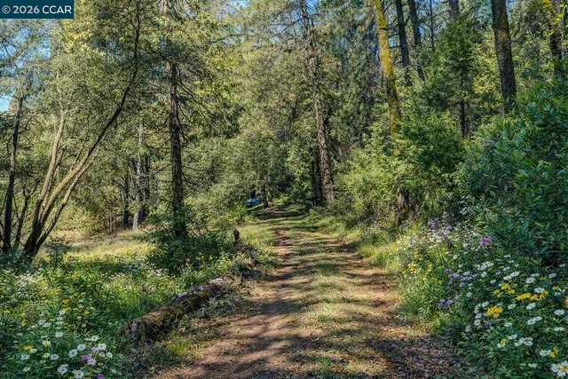 $449,000 | 17533 Humbug Creek Road, Glencoe, CA 95232