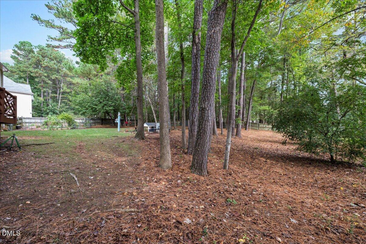 7029 Spring Ridge Road Cary, NC 27518 - Photo 34 of 39 08-8