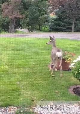 $735,000 | 6644 Ensenada Circle, Idaho Falls, ID 83406