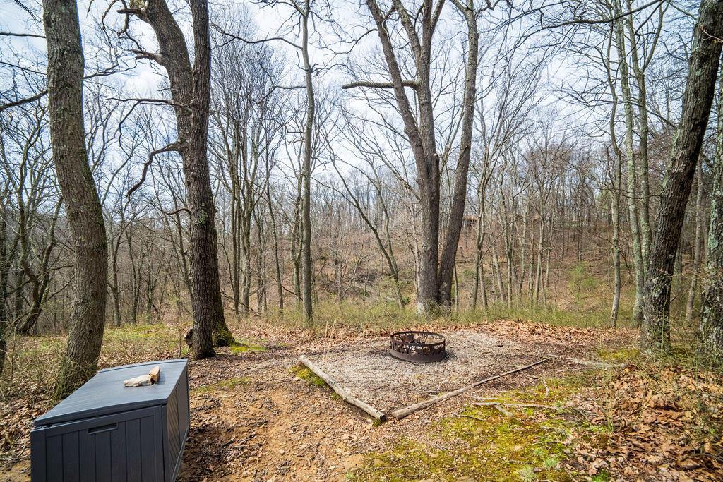 12683 Jack Run Road Lancaster, OH 43130 - Photo 28 of 35 Campfires & Smores!