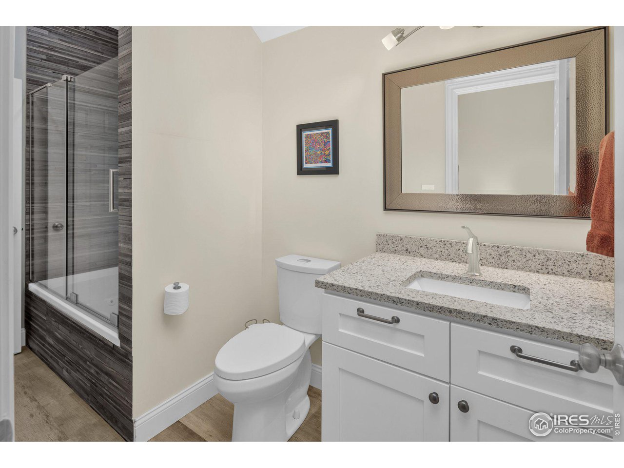 346 Baker Street Longmont, CO 80501 - Photo 17 of 39