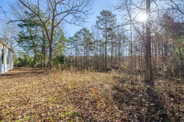 a view of a city with lush green forest
