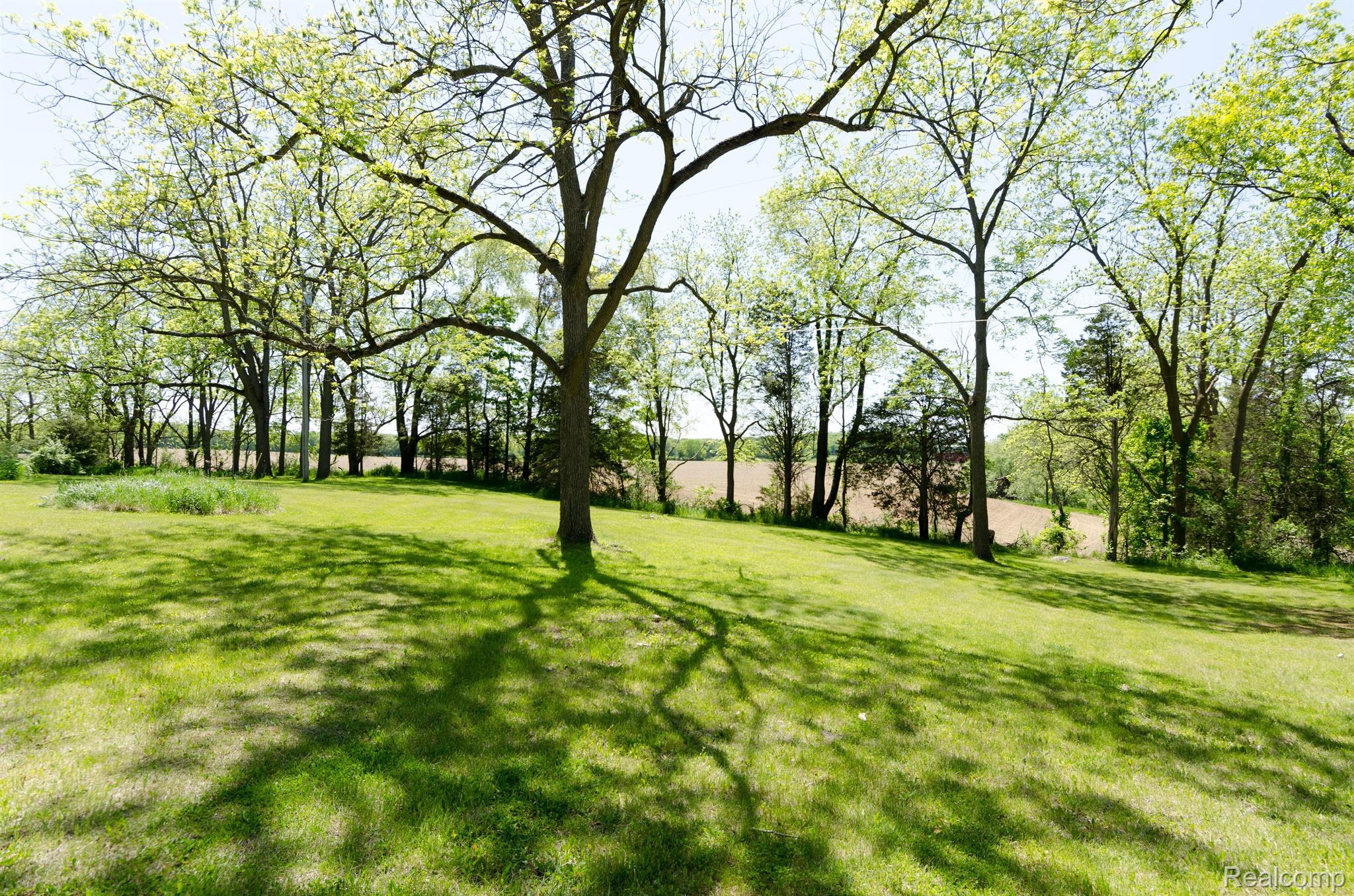 13800 Lone Tree Road Milford, MI 48380 - Photo 20 of 77 Large front yard.