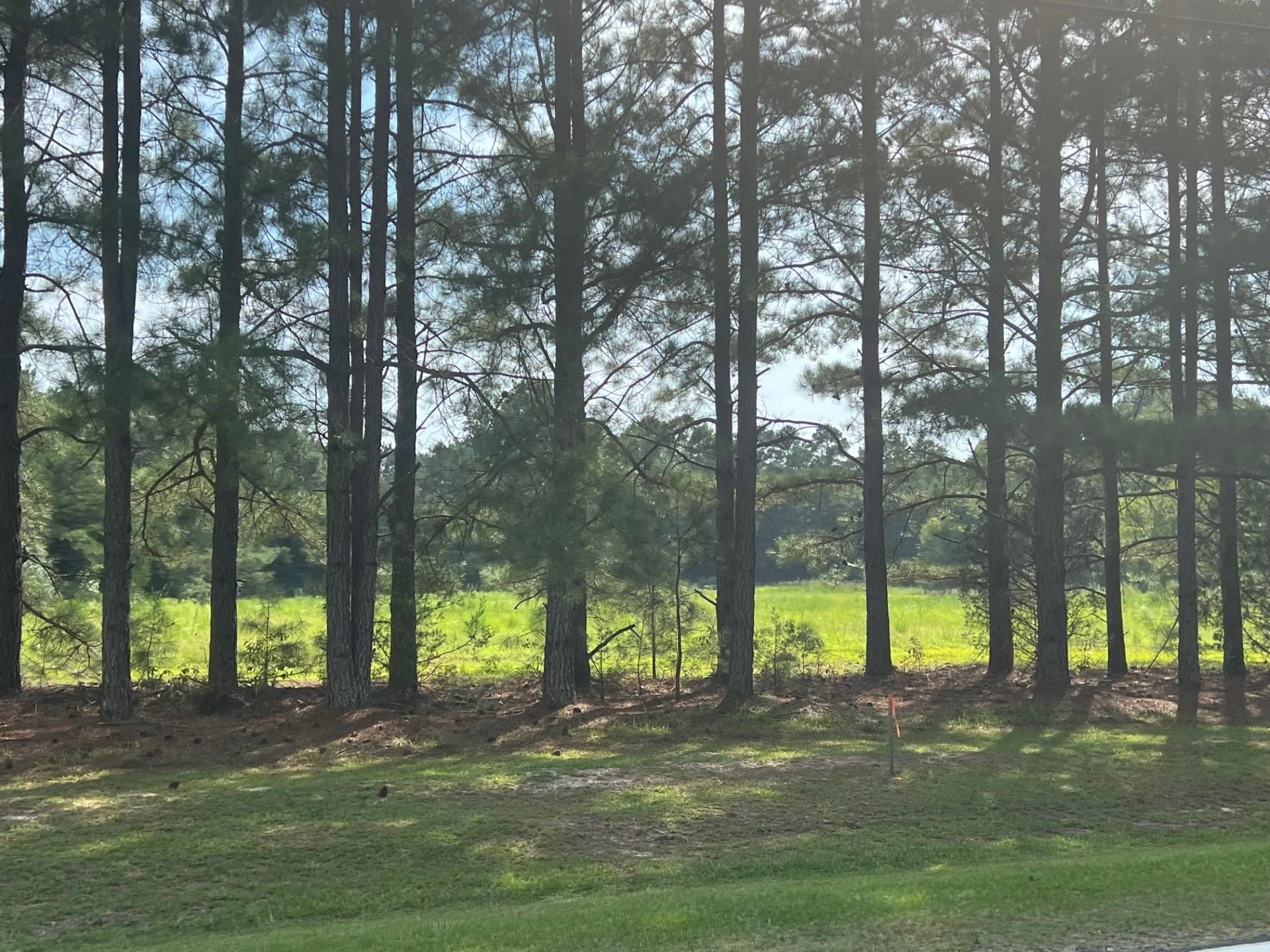 3418 Matthews Mill Pond Road Lillington, NC 27546 - Photo 2 of 8 Photo 2