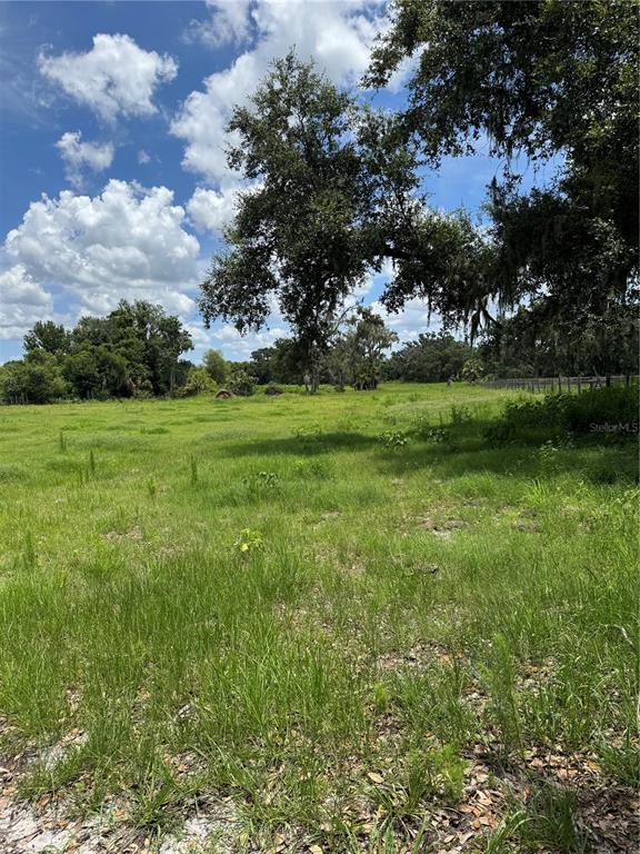 4106 Old Mulberry Road Plant City, FL 33567 - Photo 22 of 52 a view of field with trees in the background