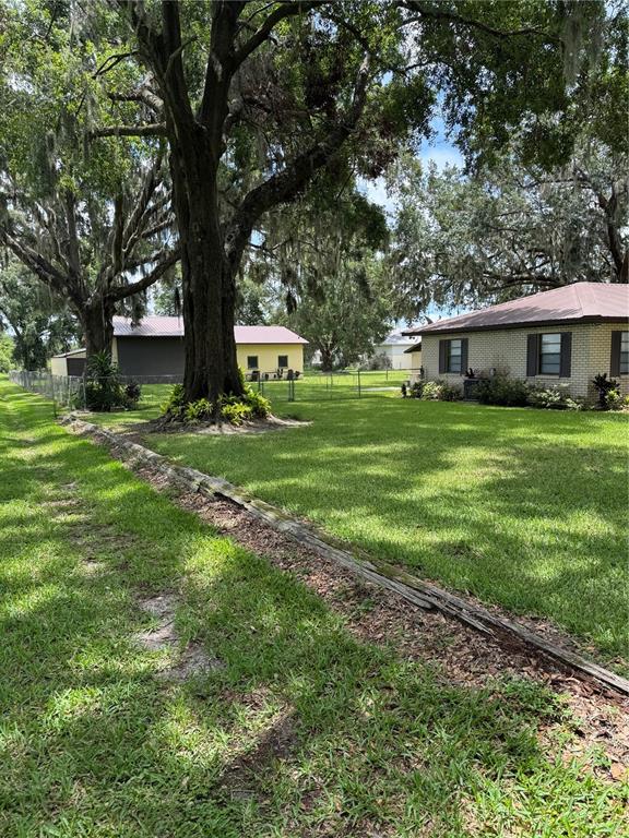 4106 Old Mulberry Road Plant City, FL 33567 - Photo 3 of 52 a tall tree in middle of green field