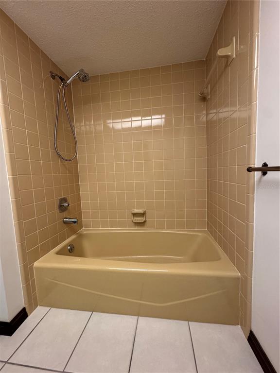 4106 Old Mulberry Road Plant City, FL 33567 - Photo 39 of 52 a bathroom with a shower and a bath tub