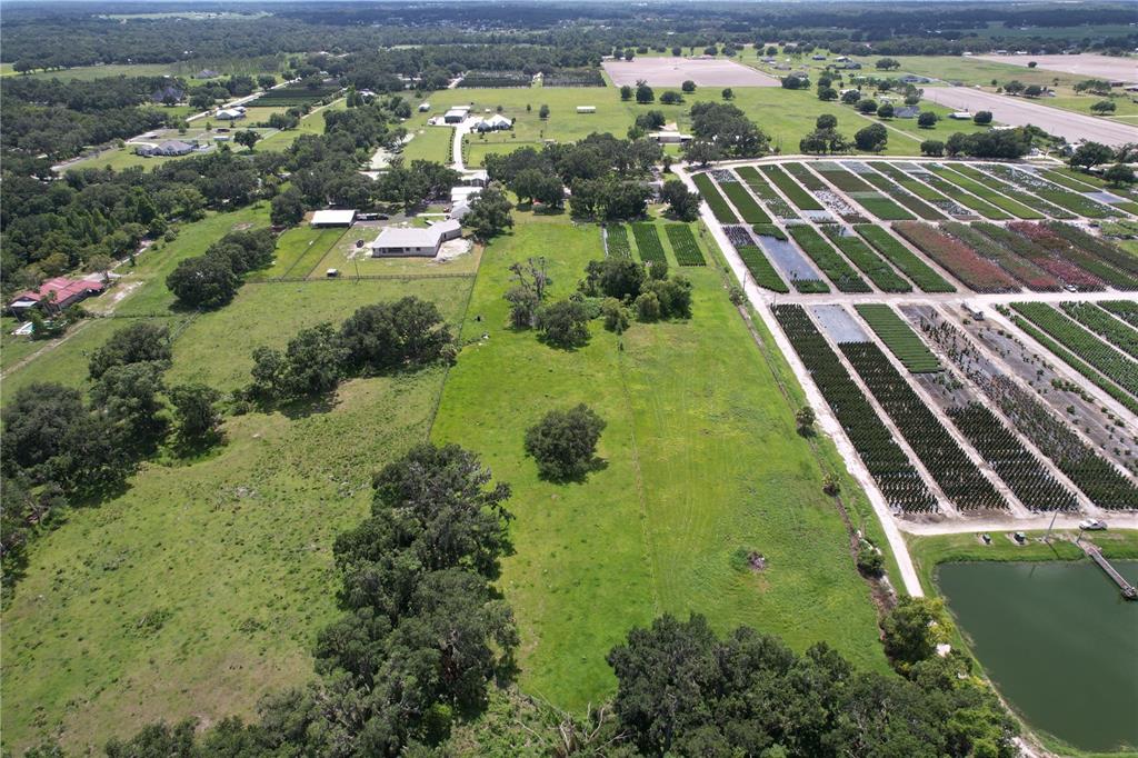 4106 Old Mulberry Road Plant City, FL 33567 - Photo 52 of 52 a view of a yard