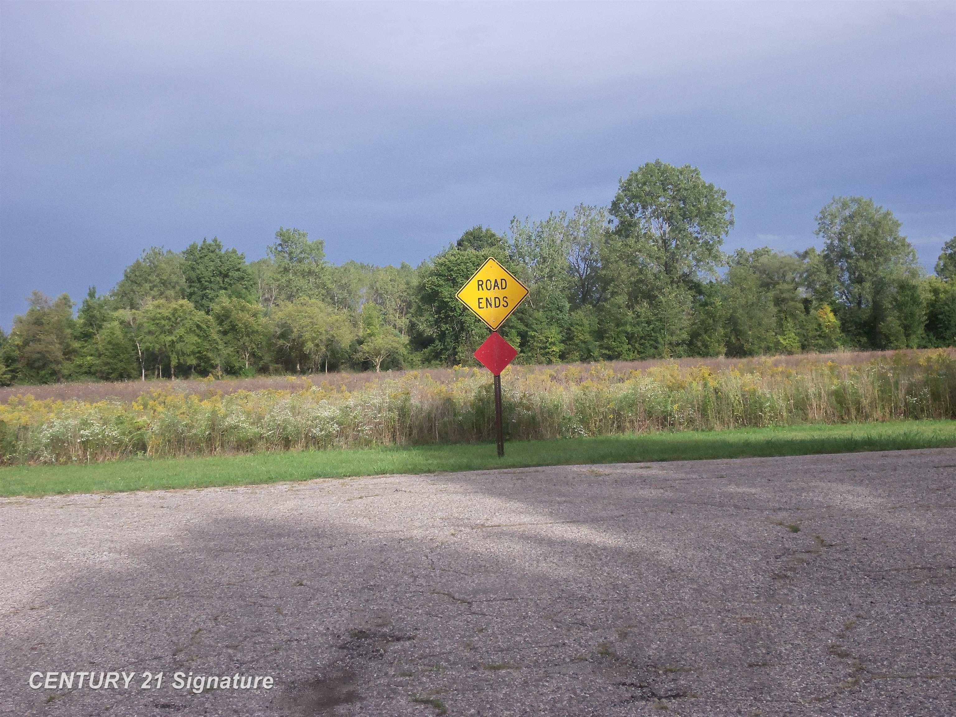 V/l West Coldwater Road Flushing, MI 48433 - Photo 2 of 9 Gallery Image 2