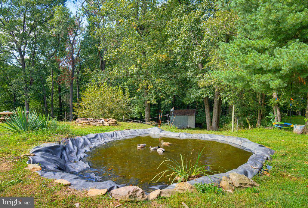 801 Old Commons Road Windsor, PA 17366 - Photo 26 of 43 Back yard and pond