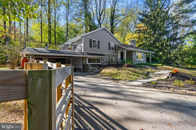 a view of a yard with plants and trees