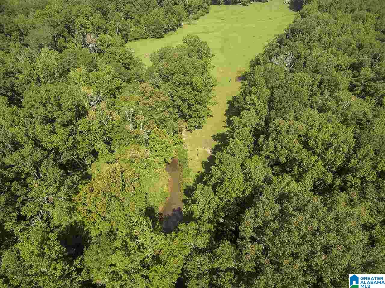 3330 Highway 174 Springville, AL 35146 - Photo 10 of 21