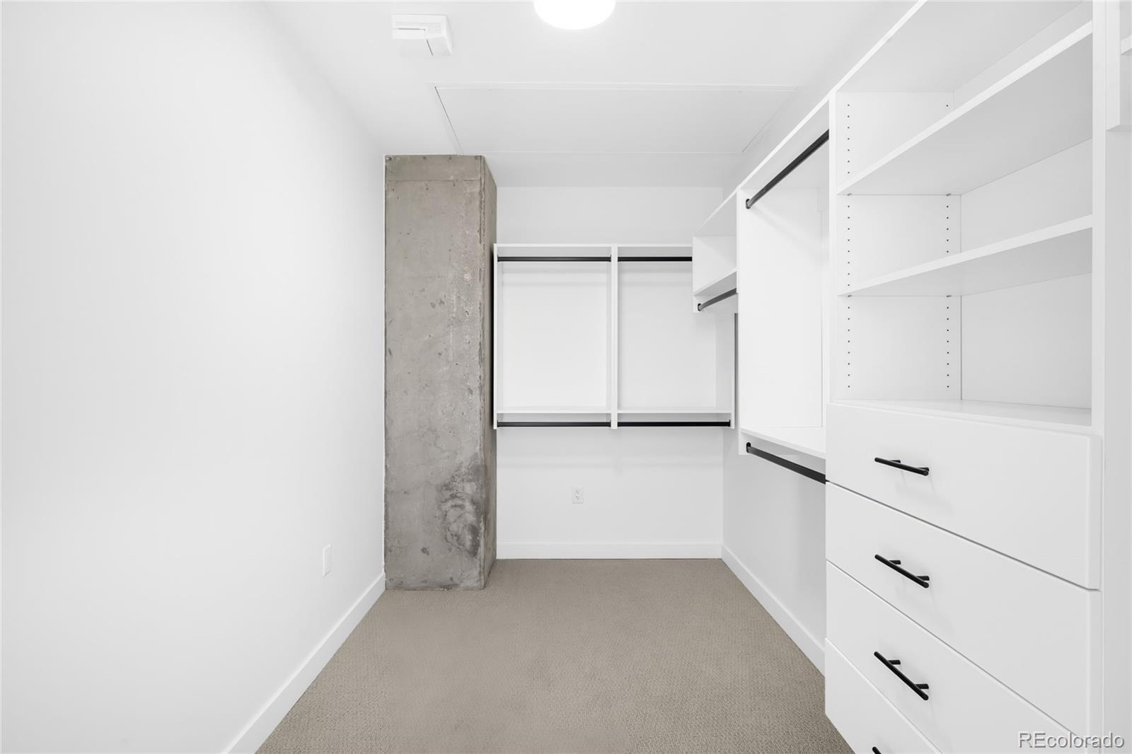 3520 Chestnut Place, Unit PH1207 Denver, CO 80216 - Photo 22 of 37 a view of walk in closet with cabinet
