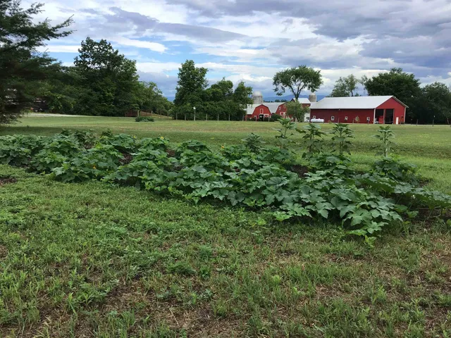 $1,499,000 | 640 Orchard Drive, Bridport, VT 05734