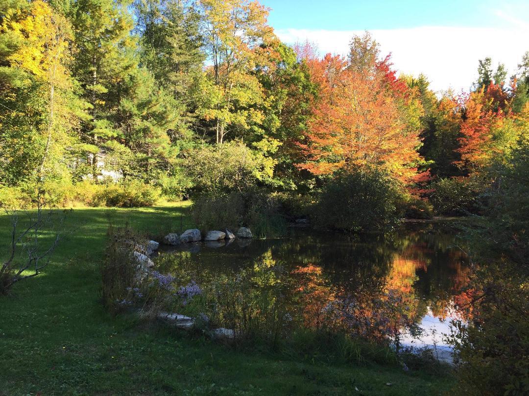 51 Georges Road Orland, ME 04472 - Photo 15 of 17 Fall near the pond