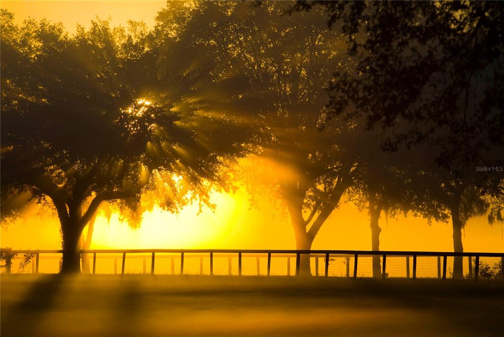 0 Southeast 116th Pl Road Ocala, FL 34480 - Photo 5 of 7 a view of swimming pool and an outdoor seating