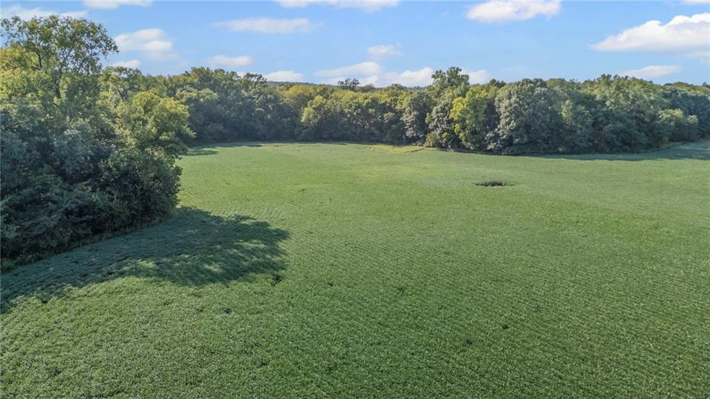 3572 Idaho Road Pomona, KS 66076 - Photo 16 of 63