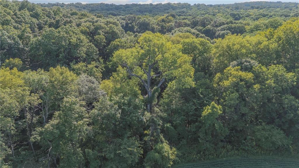 3572 Idaho Road Pomona, KS 66076 - Photo 17 of 63