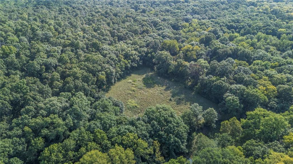 3572 Idaho Road Pomona, KS 66076 - Photo 18 of 63