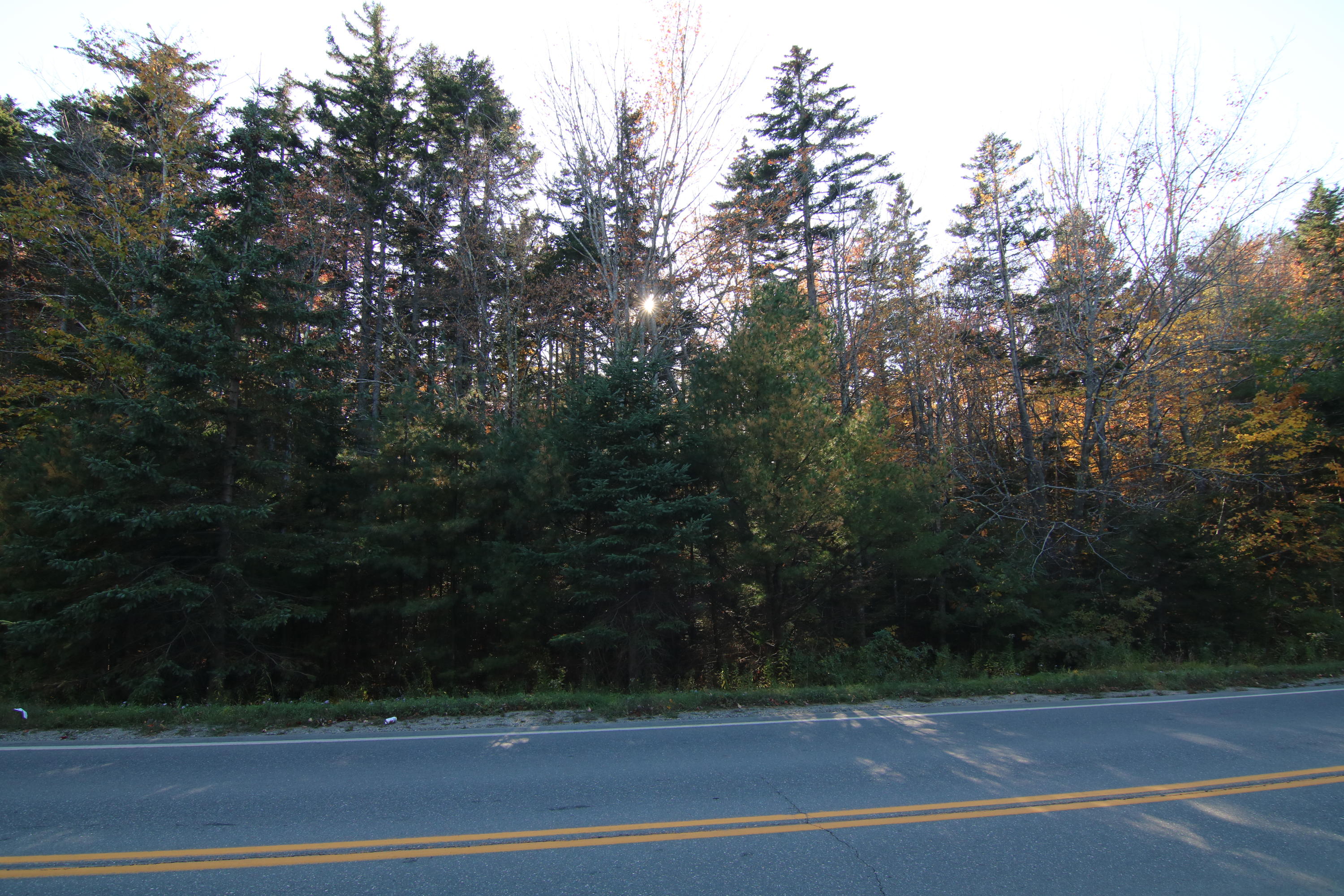 Lot 53 Nichols Road East Boothbay, ME 04544 - Photo 5 of 14 IMG_7492