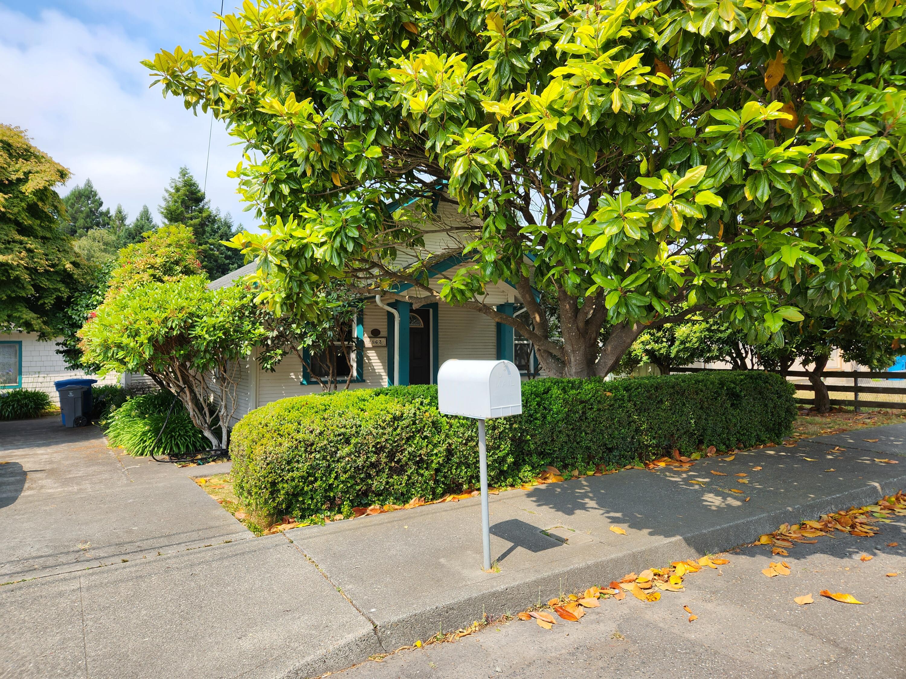 2163 Fern Street Cutten, CA 95503 - Photo 11 of 23 a wooden bench sitting in middle of a yard
