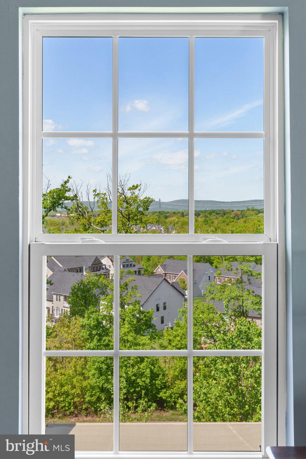 25849 Racing Sun Drive Aldie, VA 20105 - Photo 25 of 80 View from Primary Suite