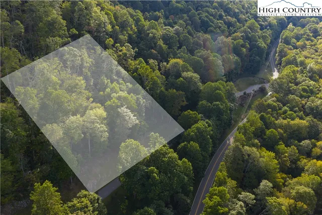 a view of a garden with a tree