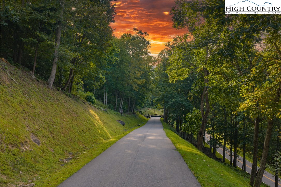 Lot C3 Bear Paw Road Elk Park, NC 28622 - Photo 14 of 15 a view of a pathway both side of garden