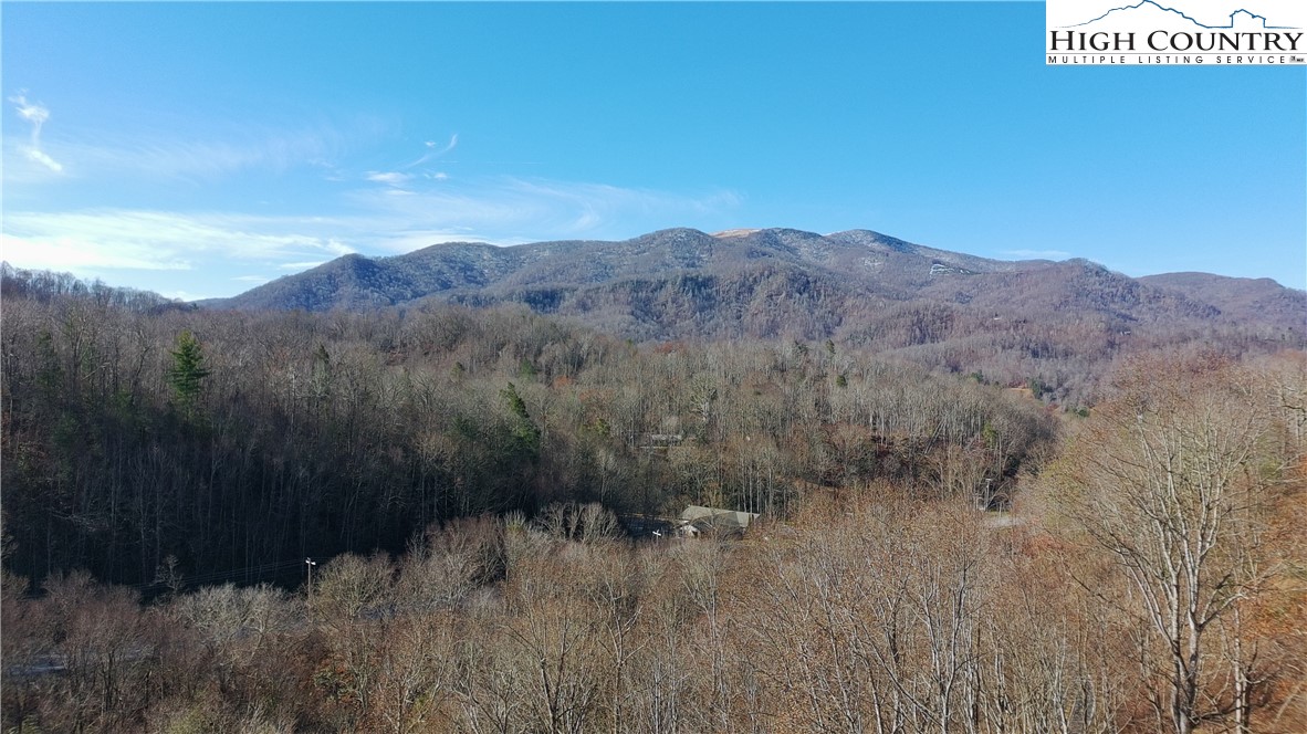 Lot C3 Bear Paw Road Elk Park, NC 28622 - Photo 15 of 15 a view of a lush green field