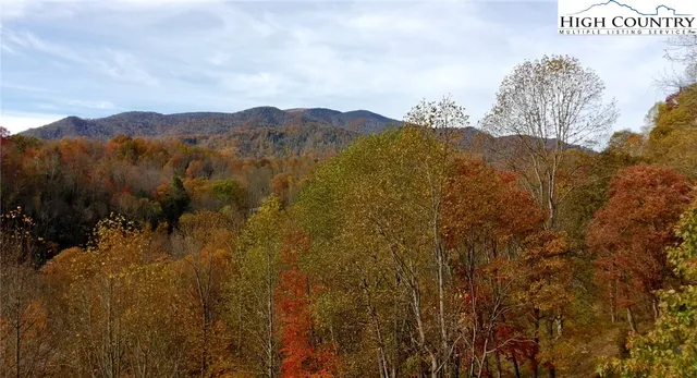 a view of a dry yard with mountains in the background