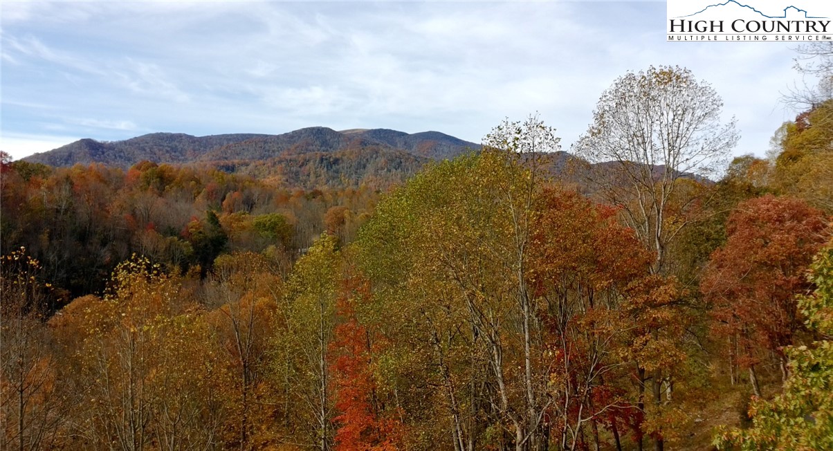 Lot C3 Bear Paw Road Elk Park, NC 28622 - Photo 3 of 15 a view of a dry yard with mountains in the background