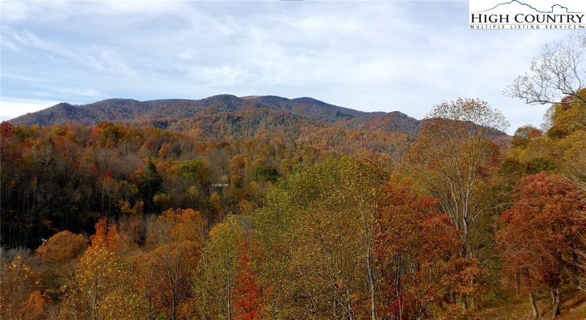 Lot C3 Bear Paw Road Elk Park, NC 28622 - Photo 4 of 15 a view of mountain