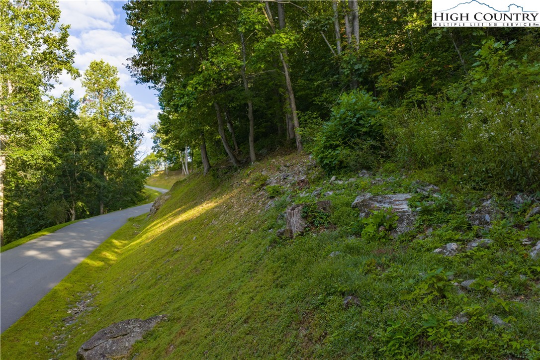 Lot C3 Bear Paw Road Elk Park, NC 28622 - Photo 5 of 15 a view of a forest with a park