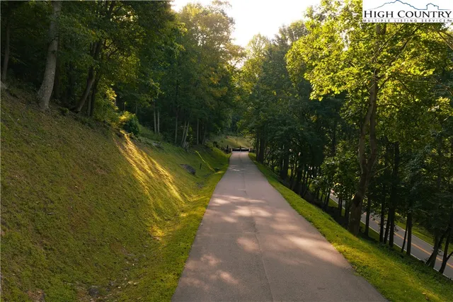 a view of a pathway both side of garden