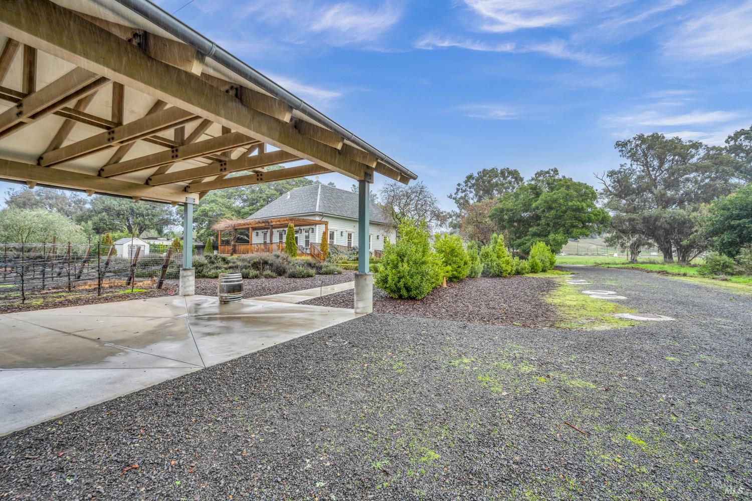 129 Devlin Road Napa, CA 94558 - Photo 30 of 38 a view of a yard with a tree