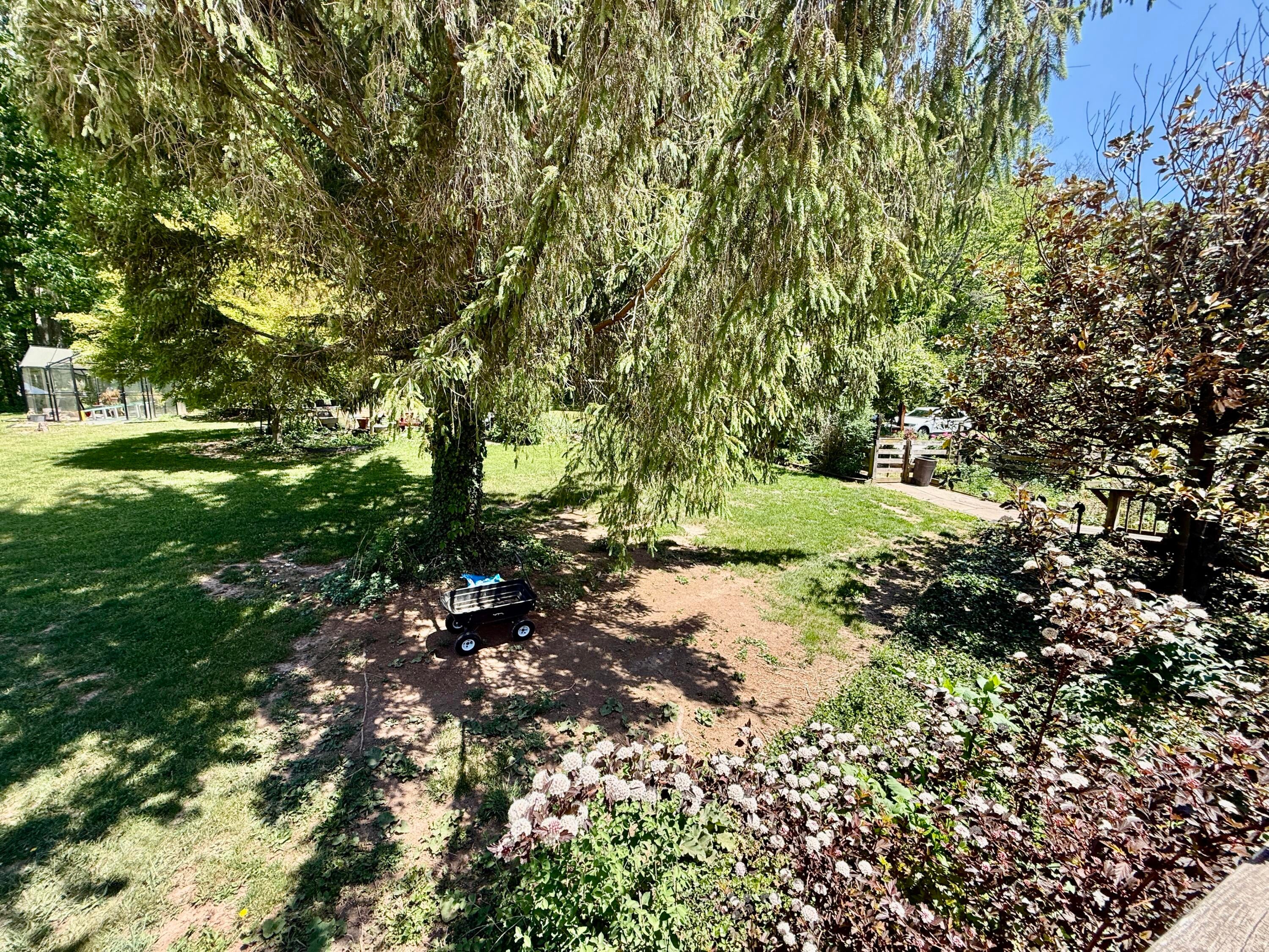 212 Dellhaven Road Frankford, WV 24938 - Photo 88 of 90 Back Yard