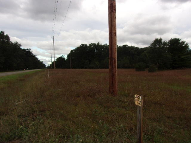 0 Pine Creek Road Manistee, MI 49660 - Photo 4 of 5 004