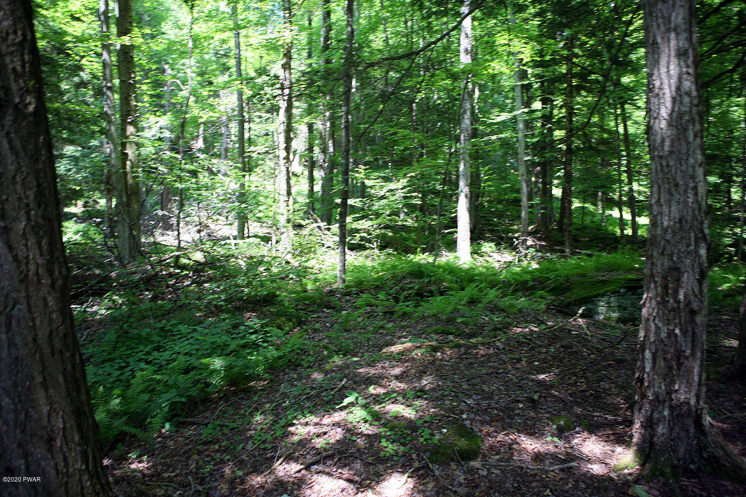 0 Braman Road Equinunk, PA 18417 - Photo 17 of 36