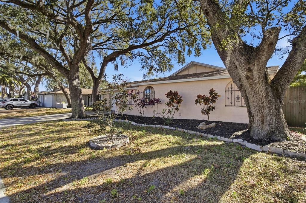 7230 San Moritz Drive Port Richey, FL 34668 - Photo 2 of 25 a view of a yard with a tree