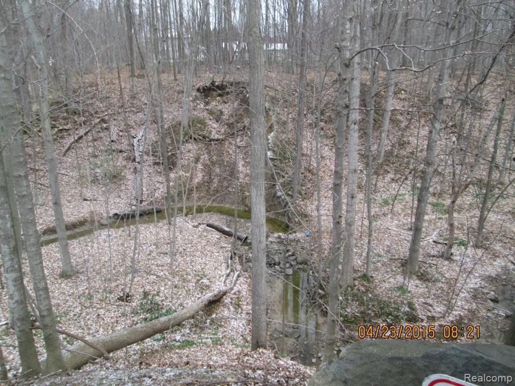 4696 Brown Road Avoca, MI 48006 - Photo 27 of 70 IMG_9814.jpg