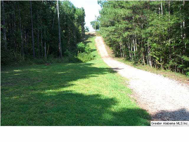 263 County Road 263, Unit 2 PARCLS Lineville, AL 36266 - Photo 8 of 14